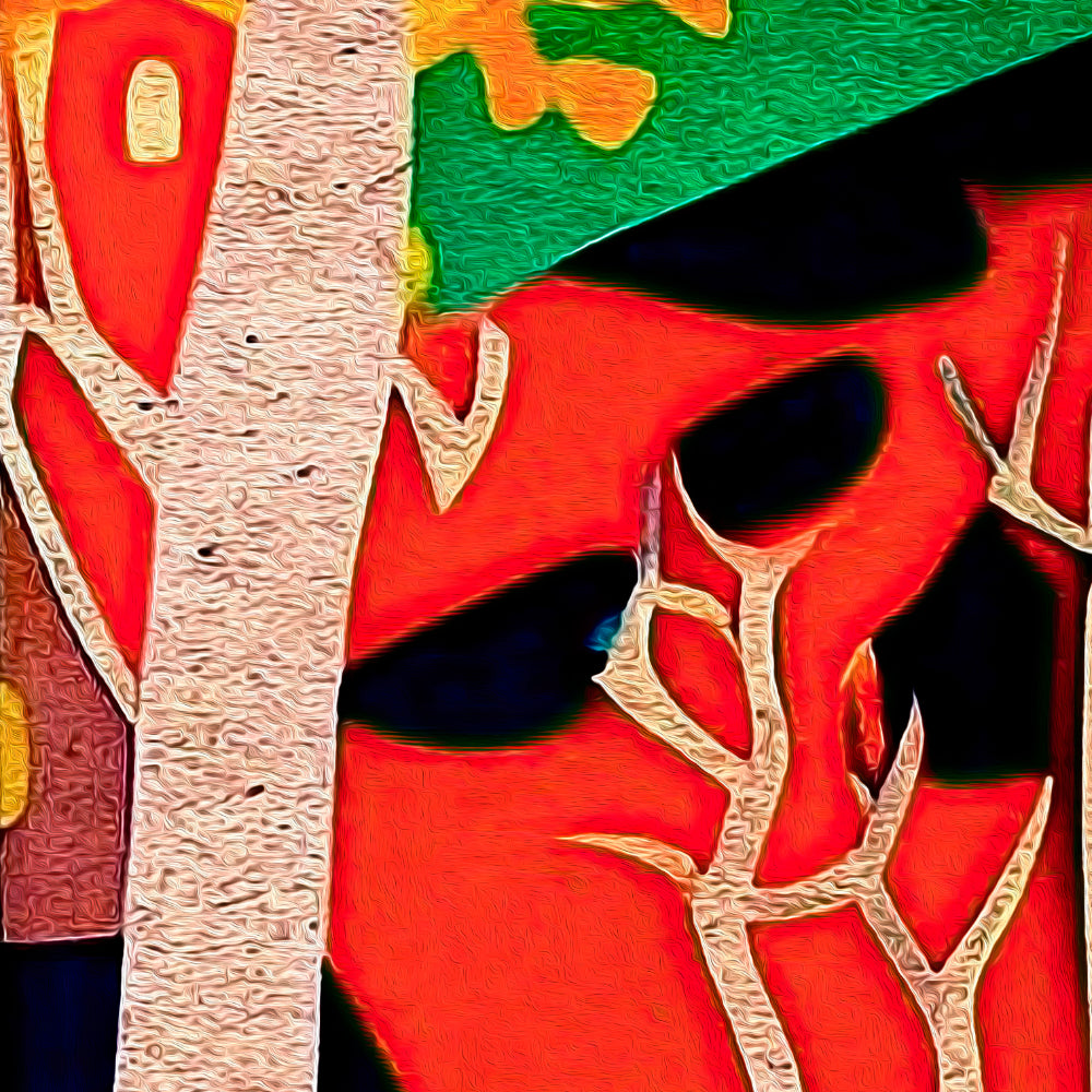 Detail view