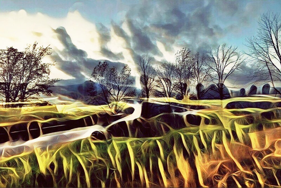 Pitt River Original