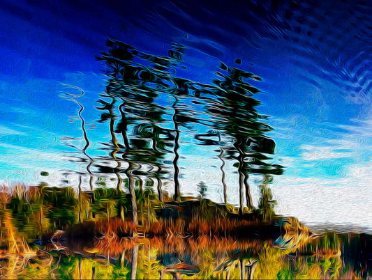 Lac Rheaume Reflections Original
